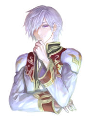 Rule 34 | 1boy, black coat, closed mouth, coat, commentary request, cropped torso, expressionless, hair between eyes, hair over one eye, hand on own chin, high priest (ragnarok online), layered clothes, long sleeves, looking at viewer, male focus, misuguu, multicolored coat, purple eyes, ragnarok online, red coat, short hair, simple background, solo, two-tone coat, upper body, white background, white coat, white hair