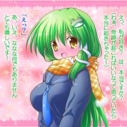 Rule 34 | 1girl, :d, alternate costume, blush, coat, confession, detached sleeves, expressive clothes, female focus, frog, frog hair ornament, full-face blush, green hair, hair ornament, happy, japanese clothes, kochiya sanae, long hair, miko, necktie, open mouth, osashin (osada), pov, scarf, smile, snake, solo, touhou, translated, yellow eyes