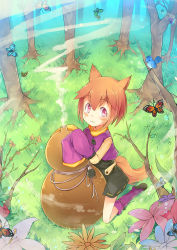 Rule 34 | 1girl, :3, animal ears, bird, brown hair, bug, butterfly, flower, fox ears, fox tail, fred04142, gourd, bug, looking at viewer, original, oversized object, red eyes, short hair, shorts, sleeves past wrists, smoke, tail, tree