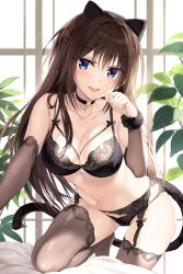Rule 34 | 1girl, :d, animal ears, arm warmers, backlighting, bare shoulders, black bra, black panties, blue eyes, boku no kanojo sensei, bra, breasts, brown hair, brown thighhighs, cat ears, cat tail, choker, cleavage, collarbone, commentary request, fake animal ears, fake tail, fujiki maka, garter belt, hairband, half updo, hand up, lace, lace-trimmed legwear, lace trim, large breasts, leaf, leaning forward, lingerie, long hair, looking at viewer, navel, no shoes, open mouth, oryo (oryo04), panties, paw pose, plant, smile, solo, stomach, tail, thighhighs, thighs, underwear, underwear only, window