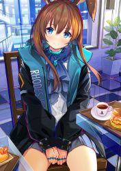 Rule 34 | 1girl, amiya (arknights), animal ears, arknights, ascot, atori, between legs, black jacket, blue eyes, brown hair, rabbit ears, chair, cup, food, burger, highres, hot dog, indoors, jacket, jewelry, long hair, long sleeves, looking at viewer, miniskirt, necklace, open clothes, open jacket, plant, pleated skirt, potted plant, puffy sleeves, rabbit girl, ribbed shirt, ring, saucer, shirt, sitting, skirt, smile, solo, teacup, tray, white shirt