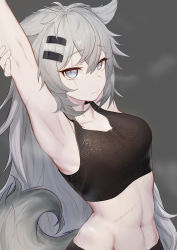 Rule 34 | 1girl, absurdres, animal ears, arknights, armpits, arms up, bare shoulders, bra visible through clothes, collarbone, crop top, grey background, grey eyes, hair between eyes, hair ornament, hairclip, highres, lappland (arknights), long hair, looking at viewer, midriff, navel, scar, scar across eye, scar on face, scar on stomach, shiliuyexiaohei, silver hair, simple background, solo, sports bra, stitches, stomach, tail, upper body, very long hair, wolf ears, wolf tail