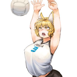 Rule 34 | 1girl, action, alternate costume, animal ears, armpits, arms up, ball, black shorts, blonde hair, breasts, chanta (ayatakaoisii), covered erect nipples, focused, fox ears, highres, hip focus, huge breasts, midriff, motion blur, open mouth, playing sports, puffy nipples, shirt, short hair, shorts, simple background, sleeveless, sleeveless shirt, solo, sportswear, teeth, tongue, touhou, upper body, volleyball, volleyball (object), volleyball uniform, white background, white shirt, yakumo ran, yellow eyes