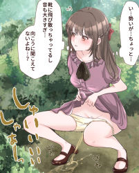 Rule 34 | 1girl, blush, brown eyes, brown hair, bush, clothes lift, dress, dress lift, highres, lifted by self, momose moko, original, outdoors, panties, panty pull, peeing, pubic hair, puddle, solo, squatting, translated, underwear