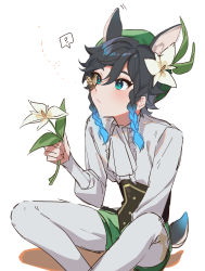 Rule 34 | 1boy, ?, absurdres, androgynous, animal ears, beret, black hair, blue hair, braid, bug, butterfly, butterfly on nose, commentary, flower, genshin impact, gradient hair, green eyes, green hat, hair flower, hair ornament, hat, highres, holding, holding flower, insect, kkopoli, leaf, long sleeves, male focus, multicolored hair, pantyhose, shirt, short hair with long locks, side braids, sidelocks, simple background, sitting, solo, spoken question mark, symbol-only commentary, tail, twin braids, venti (genshin impact), white background, white flower, white shirt
