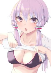 Rule 34 | 1girl, akahara tyun, bikini, black bikini, breasts, cleavage, clothes lift, collarbone, hair between eyes, halterneck, lifted by self, long hair, looking at viewer, low twintails, medium breasts, open mouth, purple eyes, purple hair, shirt, shirt lift, simple background, solo, swimsuit, t-shirt, twintails, upper body, voiceroid, white background, white shirt, yuzuki yukari