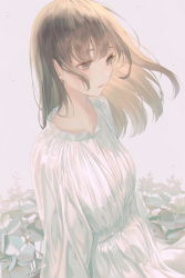 Rule 34 | 1girl, absurdres, blunt bangs, blush, breasts, brown eyes, brown hair, closed mouth, collarbone, dress, expressionless, highres, leaf, lips, long hair, long sleeves, looking afar, original, plant, simple background, small breasts, solo, standing, sul ( 20sub), upper body, white background, white dress