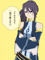 Rule 34 | 00s, 1boy, crossdressing, detached sleeves, male focus, ponytail, purple eyes, purple hair, solo, tales of (series), tales of vesperia, translation request, trap, yellow background, yuri lowell