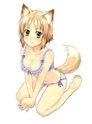 Rule 34 | 1girl, amagai tarou, animal ears, barefoot, blonde hair, blush, bra, breasts, cleavage, feet, fox ears, fox tail, jpeg artifacts, lace, lace-trimmed bra, lace trim, light smile, lingerie, looking at viewer, medium breasts, original, panties, ribbon-trimmed bra, short hair, side-tie panties, simple background, sitting, solo, tail, underwear, underwear only, v arms, wariza, white background, yellow eyes