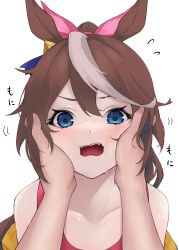 Rule 34 | 1girl, absurdres, animal ears, blue eyes, blush, brown hair, commentary request, highres, light brown hair, long hair, looking at viewer, multicolored hair, na-code (gurich), open mouth, ponytail, pov, pov hands, red shirt, shirt, sidelocks, simple background, streaked hair, tokai teio (umamusume), umamusume, white background