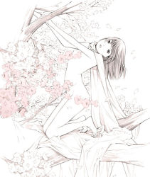 Rule 34 | 1girl, barefoot, cape, censored nipples, convenient censoring, flower, flower censor, looking at viewer, nude, original, solo, tagme, yoshitomi akihito