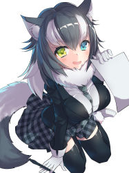 Rule 34 | 10s, 1girl, absurdres, animal ears, between breasts, black hair, blue eyes, blush, breasts, fur collar, gloves, grey wolf (kemono friends), heterochromia, highres, kemono friends, large breasts, long hair, long sleeves, looking at viewer, multicolored hair, necktie, necktie between breasts, omucchan (omutyuan), open mouth, paper, pen, simple background, skirt, solo, tail, two-tone hair, white background, wolf ears, wolf tail, yellow eyes