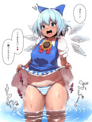 Rule 34 | 1girl, blue bow, blue dress, blue eyes, blue hair, blue panties, bow, cirno, clothes lift, commentary request, detached wings, dress, dress lift, flower, hair bow, highres, ice, ice wings, lifted by self, open mouth, panties, short hair, short sleeves, simple background, solo, starraisins, striped clothes, striped panties, sunflower, tanned cirno, teeth, touhou, translation request, underwear, upper teeth only, wading, white background, white panties, wings