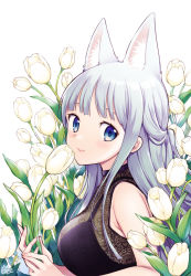 Rule 34 | 1girl, animal ears, blue eyes, blush, breasts, commentary, flower, fox ears, from side, half updo, heart, holding, holding flower, long hair, looking at viewer, looking to the side, medium breasts, miyano ururu, original, signature, silver hair, simple background, sleeveless, smile, solo, tulip, upper body, white background, white flower