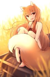 Rule 34 | 1girl, animal ear fluff, animal ears, barefoot, breasts, brown hair, crunchobar, fang, feet, hair over breasts, highres, holo, knees to chest, knees up, long hair, looking at viewer, nude, open mouth, outdoors, red eyes, sitting, small breasts, smile, solo, spice and wolf, tail, tail censor, thighs, toes, wolf ears, wolf girl, wolf tail