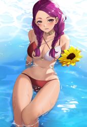 Rule 34 | 1girl, absurdres, alternate costume, bare shoulders, bikini, braid, breasts, brown eyes, collar, collarbone, cowboy shot, facial mark, fire emblem, fire emblem: three houses, flower, groin, highres, holding, holding flower, large breasts, long hair, looking at viewer, nintendo, partially submerged, petra macneary, purple hair, red bikini, ritence, sitting, smile, solo, sunflower, swimsuit, twin braids, twintails, twitter username, two-tone bikini, white bikini