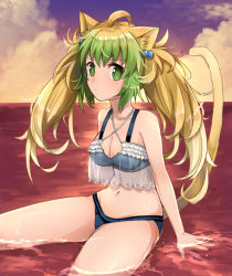 Rule 34 | 1girl, ahoge, animal ears, atalanta (fate), bare shoulders, bikini, breasts, brown hair, cat ears, cat tail, cleavage, fate/apocrypha, fate/grand order, fate (series), green eyes, hair ornament, highres, long hair, multicolored hair, navel, see-through, solo, swimsuit, tail, twintails, water
