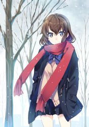Rule 34 | 1girl, bow, brown eyes, brown hair, cardigan, coat, day, hands in pockets, inato serere, looking at viewer, nature, original, pleated skirt, red scarf, scarf, school uniform, short hair, skirt, sky, smile, snow, snowing, solo, sweater vest