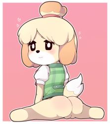 Rule 34 | 1girl, :3, animal crossing, animal ears, anus, ass, black eyes, blonde hair, blush, bottomless, cleft of venus, closed mouth, dog ears, dog tail, from behind, full body, furry, furry female, heart, isabelle (animal crossing), looking at viewer, looking back, nintendo, no humans, outside border, puffy short sleeves, puffy sleeves, pussy, short sleeves, smile, solo, tail, topknot, uncensored, white background, yuuutsu shan