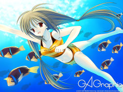 Rule 34 | 1girl, :d, barefoot, bikini, brown hair, fish, freediving, gagraphic, naruse hirofumi, navel, open mouth, original, red eyes, smile, solo, striped bikini, striped clothes, swimsuit, twintails, underwater