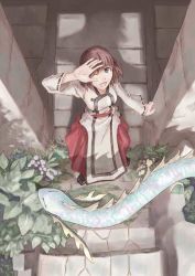 Rule 34 | 1girl, brown hair, dragon, dress, fantasy, from above, looking up, outdoors, plant, shadow, short hair, skirt, smile, solo, stairs, stone wall, ushiki yoshitaka, wall, wide sleeves, wince