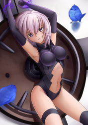 Rule 34 | 1girl, armor, armpits, arms up, bare shoulders, bird, black thighhighs, breasts, clothing cutout, cowboy shot, elbow gloves, fate/grand order, fate (series), gloves, hair between eyes, halterneck, head tilt, impossible clothes, impossible leotard, leotard, light purple hair, looking at viewer, mash kyrielight, midriff, navel, navel cutout, parted lips, purple eyes, purple hair, shadow, shield, short hair, solo, thigh strap, thighhighs, tsuki suigetsu, turtleneck