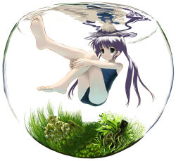 Rule 34 | 1girl, afloat, barefoot, feet, fish tank, flat chest, floating, fortune arterial, grass, green eyes, hugging own legs, long hair, long legs, mocha, one-piece swimsuit, purple hair, reflection, school swimsuit, smile, soles, solo, submerged, swimsuit, toes, tougi shiro, twintails, underwater, water