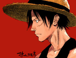 Rule 34 | 1boy, colorized, hat, inoue takehiko, lowres, male focus, monkey d. luffy, one piece, scar, simple background, solo, straw hat, third-party edit