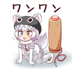 Rule 34 | 1girl, all fours, animal ear fluff, animal ears, blue eyes, bodystocking, chain chomp, chain chomp (cosplay), chibi, cosplay, dog (mixed breed) (kemono friends), dog ears, dog girl, dog tail, ears through headwear, full body, grey hair, harness, hat, heterochromia, highres, jacket, japari symbol, kemono friends, leash, log, mago (maagomago), mario (series), medium hair, motion lines, multicolored hair, nintendo, open mouth, pantyhose, parody, shoes, skirt, smile, solo, super mario 64, sweater vest, tail, tail wagging, two-tone hair, v-shaped eyebrows, white hair