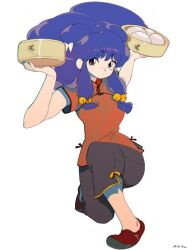 1girl chinese_clothes double_bun hair_bun long_hair purple_hair ranma_1/2 shampoo_(ranma_1/2) tagme