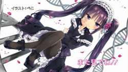 Rule 34 | 10s, 1girl, absolute duo, black dress, black pantyhose, blush, crossed legs, dna, dress, drill hair, dutch angle, end card, flower, hair flower, hair ornament, hairband, hand on own cheek, hand on own face, helix, highres, kani biimu, lolita fashion, lolita hairband, long hair, looking at viewer, non-web source, pantyhose, purple eyes, purple hair, sidelocks, simple background, sitting, smile, solo, thighband pantyhose, tsukumo sakuya, twin drills, twintails, very long hair