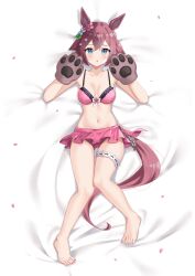 Rule 34 | 1girl, alternate costume, animal ears, animal hands, bed, breasts, collarbone, commentary request, cstv, dog paws, full body, hair between eyes, hair flaps, hair ornament, highres, horse ears, horse girl, horse tail, medium breasts, medium hair, navel, open mouth, petals, pink hair, sakura chiyono o (umamusume), solo, swimsuit, tail, umamusume