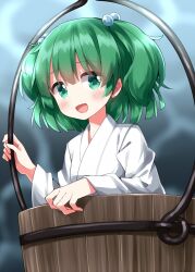 Rule 34 | 1girl, :d, blush, bucket, eyes visible through hair, green eyes, green hair, hair bobbles, hair ornament, highres, japanese clothes, kimono, kisume, long sleeves, looking at viewer, open mouth, ruu (tksymkw), short hair, smile, solo, touhou, two side up, upper body, white kimono