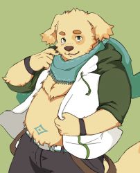Rule 34 | 1boy, animal ears, bara, belly, belt, black wristband, chest tuft, commentary request, cowboy shot, cu sith (housamo), dog boy, dog ears, dog tail, fat, fat man, furry, furry male, green background, green scarf, hand up, hood, hooded jacket, jacket, male focus, pasutasuchi, scarf, short hair, smile, solo, stomach tattoo, tail, tattoo, tearing up, thick eyebrows, tokyo houkago summoners, yellow fur