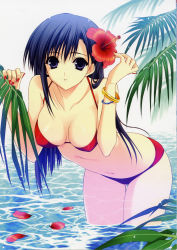 Rule 34 | 1girl, absurdres, bikini, bracelet, breasts, cleavage, fingernails, flower, hair flower, hair ornament, hibiscus, highres, jewelry, large breasts, leaning forward, looking at viewer, nail polish, navel, ocean, petals, red bikini, red nails, scan, solo, suzuhira hiro, swimsuit, wading, water