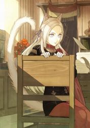 Rule 34 | 1girl, aiguillette, animal ear fluff, animal ears, black jacket, book, book stack, cat ears, cat girl, cat tail, chair, commentary, desk, drawer, edelgard von hresvelg, feet out of frame, fire emblem, fire emblem: three houses, flower, gloves, hair ribbon, half updo, hands up, high collar, highres, indoors, jacket, kemonomimi mode, light rays, long hair, looking ahead, mouse (animal), mueririko, nintendo, on chair, pantyhose, plant, potted plant, purple eyes, quill, red flower, red pantyhose, ribbon, shelf, sidelocks, silver hair, sitting, solo, stuffed animal, stuffed toy, sunbeam, sunlight, surprised, tail, teddy bear, white gloves, wooden floor, wooden wall