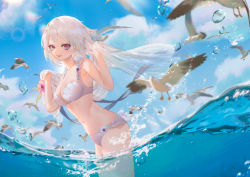 Rule 34 | 1girl, absurdres, animal, bad id, bad pixiv id, bare arms, bare shoulders, bikini, bird, blue sky, borrowed character, breasts, cirilla lin, cloud, commentary request, day, fish, flock, hair ornament, highres, long hair, looking at viewer, medium breasts, navel, ocean, original, outdoors, partially submerged, red eyes, scenery, seagull, see-through, sky, smile, solo, standing, stomach, sunlight, swimsuit, wading, water, water drop, white bikini, white hair