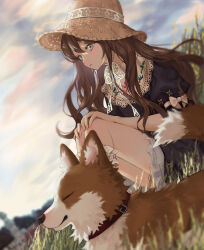 Rule 34 | 1girl, blue eyes, blue skirt, blue sky, brown hair, building, cloud, commentary request, day, dog, grass, hat, korean commentary, long hair, original, oto1 030, outdoors, parted lips, shirt, sitting, skirt, sky, solo, straw hat, sun hat