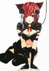 Rule 34 | 1girl, alternate costume, animal ears, arm support, bad id, bad pixiv id, bell, beniyaorin, black thighhighs, braid, breasts, bridal gauntlets, buckle, cat ears, cat girl, cleavage, cleavage cutout, clothing cutout, collar, earrings, female focus, flower, hair flower, hair ornament, jewelry, jingle bell, kaenbyou rin, large breasts, leash, looking at viewer, midriff, neck bell, red eyes, red hair, rose, solo, thighhighs, touhou, twin braids, twintails