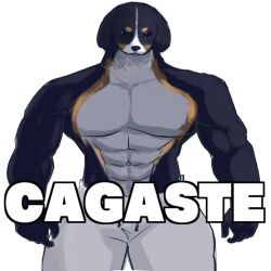 Rule 34 | 1boy, abs, bara, bare shoulders, biceps, black eyes, borrowed character, closed mouth, cowboy shot, fav1998fav, furry, furry male, grey pants, highres, looking at viewer, macro, meme, muscular, muscular male, original, pants, pectorals, short eyebrows, simple background, spanish text, standing, sweatpants, translated, v-shaped eyebrows, white background