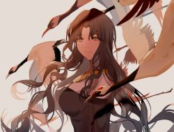 Rule 34 | 1girl, bird, black dress, black hair, closed mouth, dress, fate/extra, fate/extra ccc, fate/grand order, fate (series), from side, habit, jewelry, long hair, looking at viewer, necklace, parted bangs, sessyoin kiara, smile, solo, upper body, white background, yellow eyes, yoru yoru13
