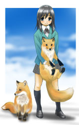 Rule 34 | animal ears, black hair, blue eyes, blush, fox, fox ears, fox tail, retsumaru, school uniform, skirt, tail