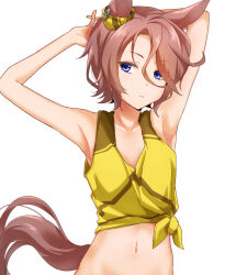 Rule 34 | 1girl, animal ears, armpits, arms behind head, arms up, ayame iro (toumei dolce), bare arms, bare shoulders, blue eyes, brown hair, closed mouth, collarbone, commentary request, crop top, highres, horse ears, horse girl, horse tail, looking at viewer, looking to the side, midriff, narita taishin (umamusume), navel, shirt, short hair, simple background, sleeveless, sleeveless shirt, solo, stomach, tail, tank top, tied shirt, umamusume, upper body, white background, yellow shirt