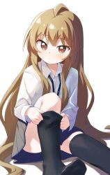 Rule 34 | 1girl, aisaka taiga, black thighhighs, blue skirt, brown eyes, brown hair, closed mouth, commentary, dot mouth, haru (konomi 150), long hair, long sleeves, looking at viewer, no shoes, pleated skirt, putting on legwear, shirt, simple background, sitting, skirt, solo, thighhighs, toradora!, very long hair, white background, white shirt, wing collar