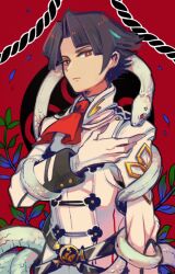 Rule 34 | 1boy, ace attorney, ascot, black hair, closed mouth, gloves, jacket, kazuma asogi, leaf, long sleeves, looking at viewer, male focus, mebu, red ascot, red background, red eyes, rope, short hair, snake, solo, the great ace attorney, the great ace attorney 2: resolve, upper body, white jacket, white snake