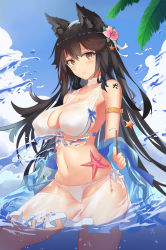 Rule 34 | 1girl, absurdres, animal ears, armband, atago (azur lane), atago (summer march) (azur lane), atago (summer march) (azur lane), azur lane, bikini, black hair, blue sky, breasts, brown eyes, chinese commentary, cloud, commentary request, cowboy shot, day, extra ears, flower, hair flower, hair ornament, highres, large breasts, long hair, looking at viewer, mole, mole under eye, outdoors, photoshop (medium), revision, sky, solo, star (symbol), starfish, swimsuit, water, white bikini, wjn-rance