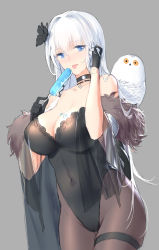 Rule 34 | 1girl, adjusting hair, azur lane, bare shoulders, beak, bird, black flower, black leotard, black pantyhose, blue eyes, breasts, choker, cleavage, collar, covered erect nipples, dripping, flower, food, fur-trimmed sleeves, fur trim, gloves, hair flower, hair ornament, highres, illustrious (azur lane), jewelry, large breasts, legs together, leotard, licking, looking at viewer, melting, necklace, owl, pantyhose, popsicle, see-through, see-through sleeves, swd3e2, thigh gap, thigh strap, tongue, tongue out, wet, white hair, yellow eyes