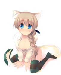 Rule 34 | 1girl, animal ears, blue eyes, blush, braid, breasts, brown hair, cat ears, cat tail, cleavage, hair over shoulder, large breasts, long hair, looking at viewer, lynette bishop, panties, shin (new), simple background, single braid, sitting, smile, solo, strike witches, striped clothes, striped thighhighs, tail, thighhighs, underwear, wariza, world witches series