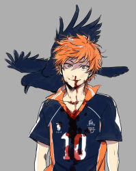 Rule 34 | 10s, 1boy, bird, blood, blood on clothes, blood on face, crow, grey background, haikyuu!!, hinata shouyou, looking at viewer, nosebleed, orange hair, short hair, simple background, sportswear, volleyball uniform, zkakq