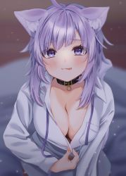 Rule 34 | 1girl, ahoge, animal ears, blush, breasts, cat ears, cat girl, cat tail, choker, cleavage, dress shirt, highres, hololive, large breasts, looking at viewer, madoka25, nekomata okayu, pulled by self, purple eyes, purple hair, shirt, solo, tail, tongue, tongue out, virtual youtuber